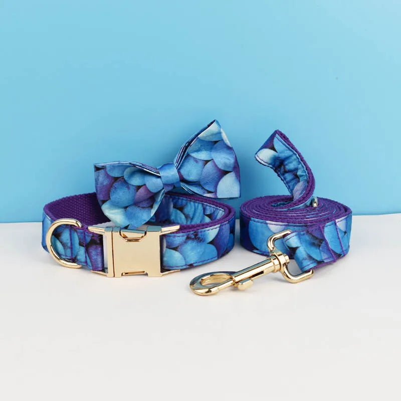 Sfd2b6d5fa1264c25ace8c1ad13f890c2y